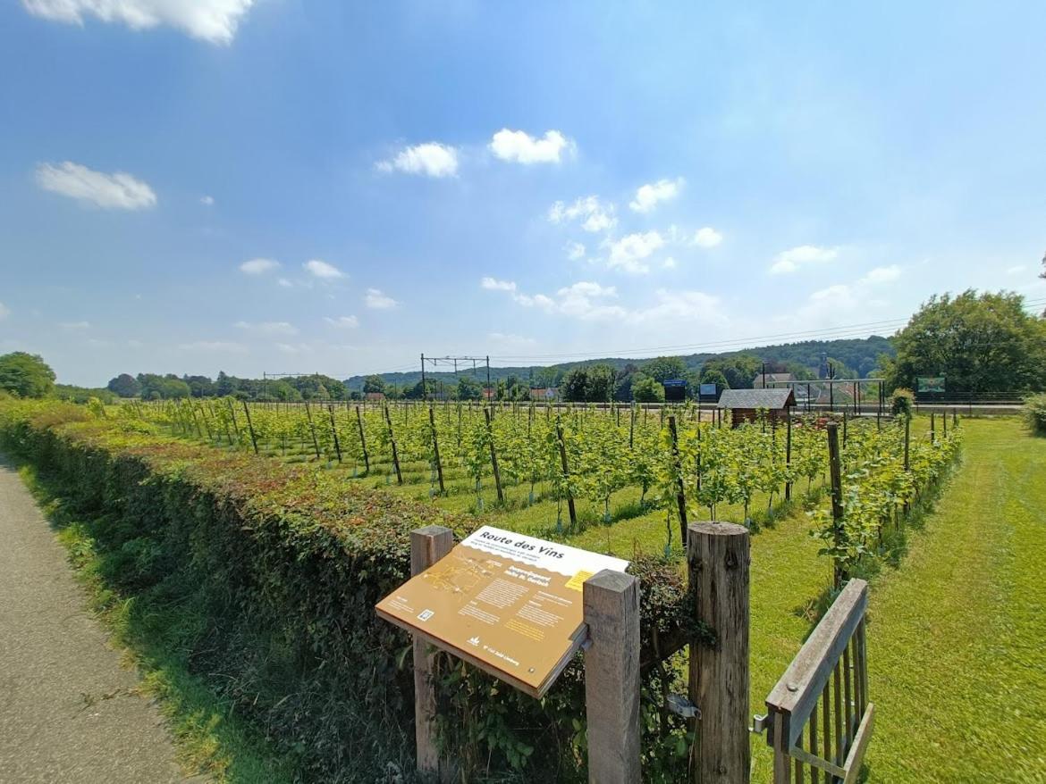 Halte Sint-Gerlach Holiday Home Valkenburg aan de Geul Eksteriør bilde
