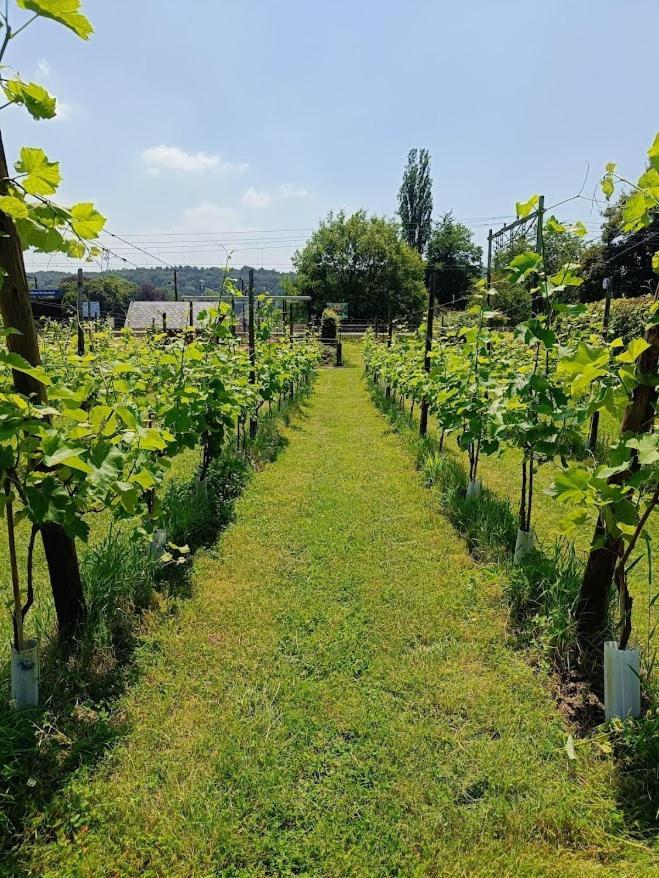 Halte Sint-Gerlach Holiday Home Valkenburg aan de Geul Eksteriør bilde